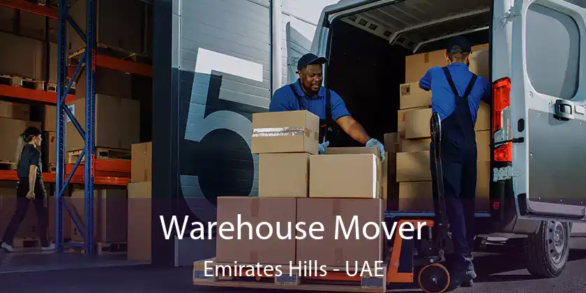  Warehouse Mover Emirates Hills - UAE