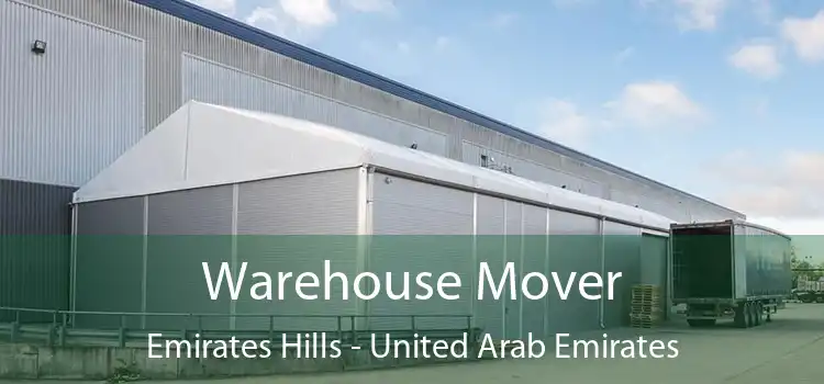 Warehouse Mover Emirates Hills - United Arab Emirates