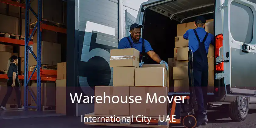  Warehouse Mover International City - UAE