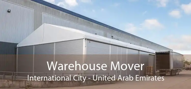 Warehouse Mover International City - United Arab Emirates