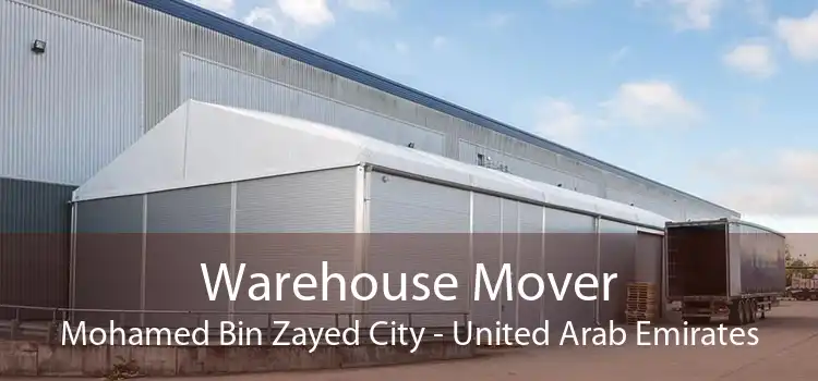 Warehouse Mover Mohamed Bin Zayed City - United Arab Emirates