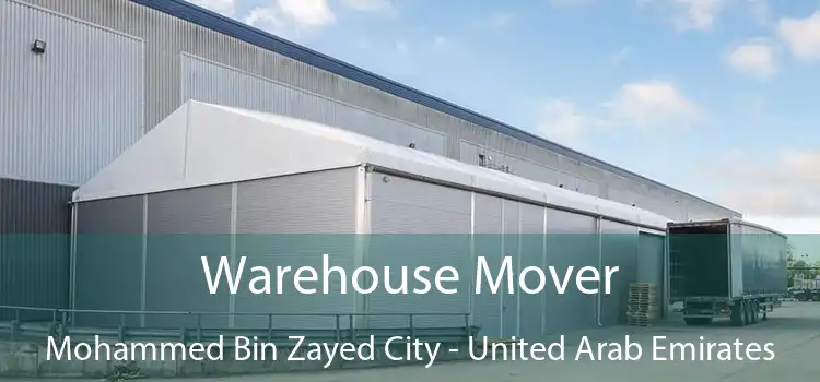 Warehouse Mover Mohammed Bin Zayed City - United Arab Emirates