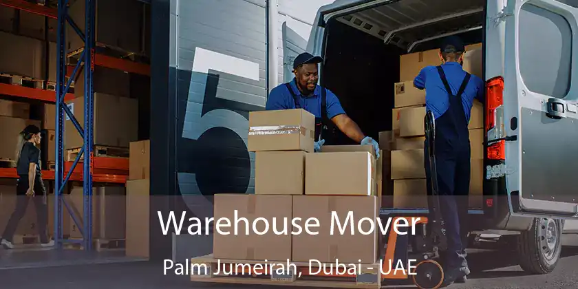 Warehouse Mover Palm Jumeirah, Dubai - UAE