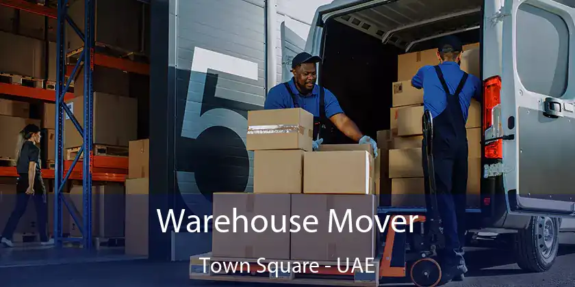  Warehouse Mover Town Square - UAE