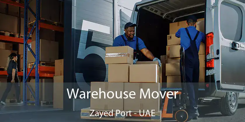  Warehouse Mover Zayed Port - UAE