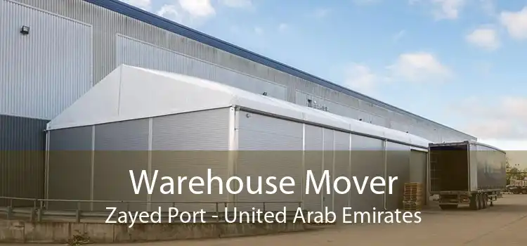 Warehouse Mover Zayed Port - United Arab Emirates