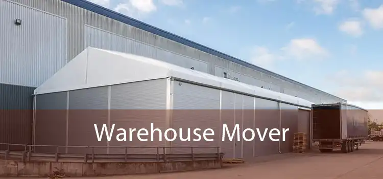 Warehouse Mover 