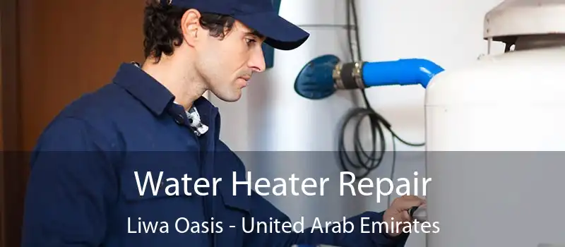 Water Heater Repair Liwa Oasis - United Arab Emirates