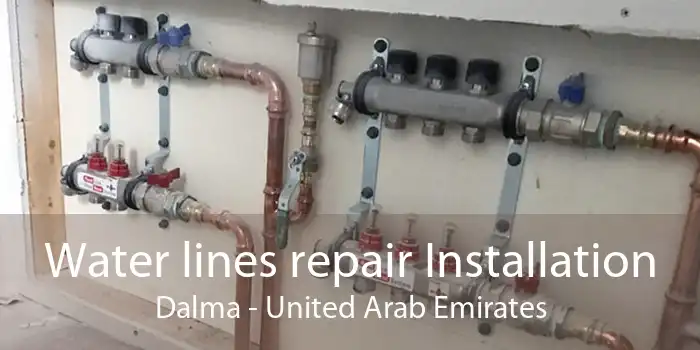 Water lines repair Installation Dalma - United Arab Emirates