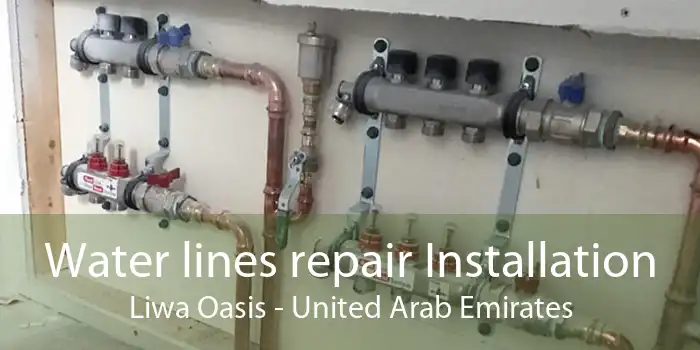 Water lines repair Installation Liwa Oasis - United Arab Emirates