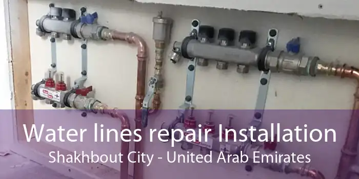 Water lines repair Installation Shakhbout City - United Arab Emirates