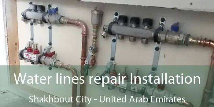 Water lines repair Installation Shakhbout City - United Arab Emirates