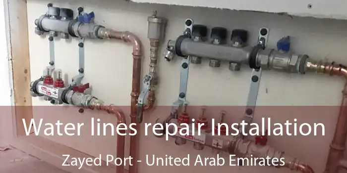 Water lines repair Installation Zayed Port - United Arab Emirates