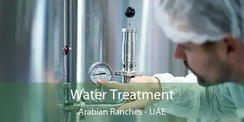  Water Treatment Arabian Ranches - UAE