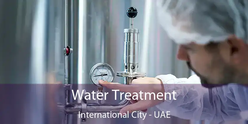 Water Treatment International City - UAE