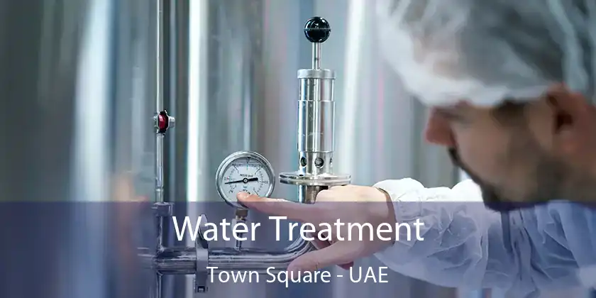  Water Treatment Town Square - UAE