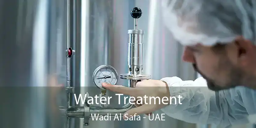  Water Treatment Wadi Al Safa - UAE