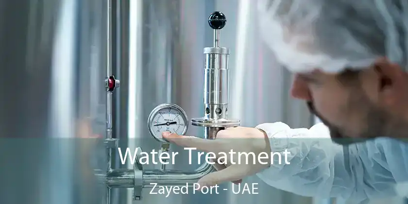  Water Treatment Zayed Port - UAE
